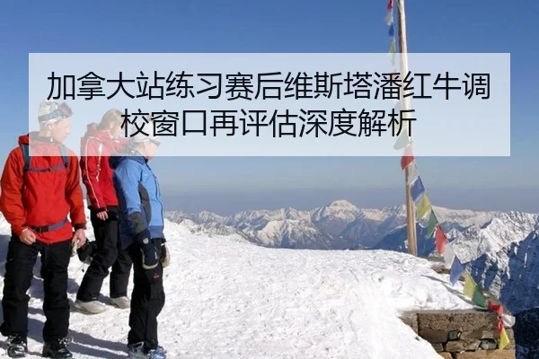 加拿大站练习赛后维斯塔潘红牛调校窗口再评估深度解析